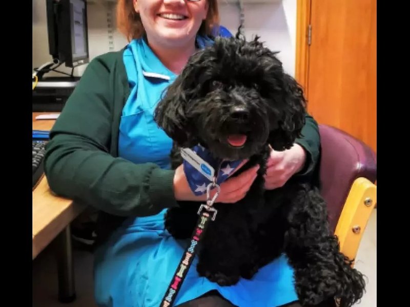 Sue Ryder Nurse Bella, with her little black therapy dog on her lap