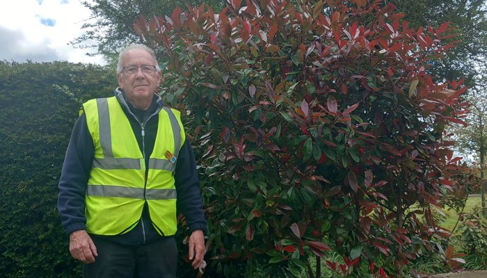 Sue Ryder garden volunteer, David Jarman, in the St. John's Hospice garden
