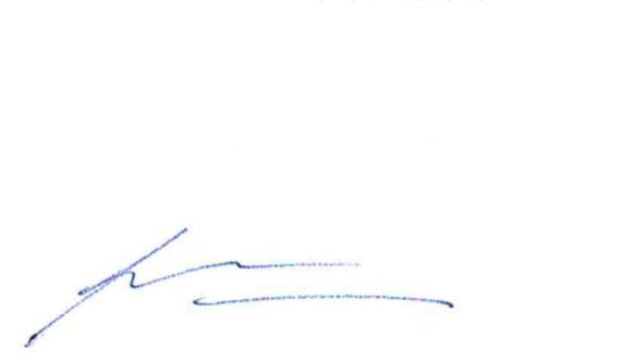Dr Rima Makarem's signature in blue ink
