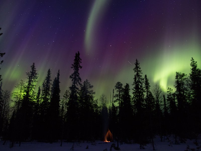 A picture of a dark stary night where you can see the Northern Lights and a small tent and campfire in the background.