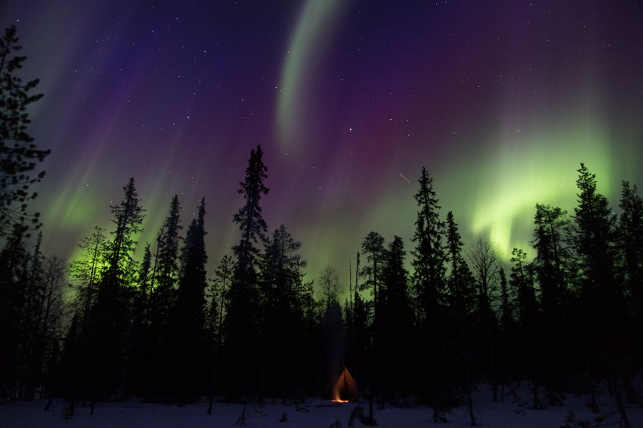 A picture of a dark stary night where you can see the Northern Lights and a small tent and campfire in the background.
