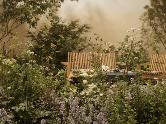 The Sue Ryder Grief Kind Garden, with a bench, table and all of the plants, flowers and trees surrounding them