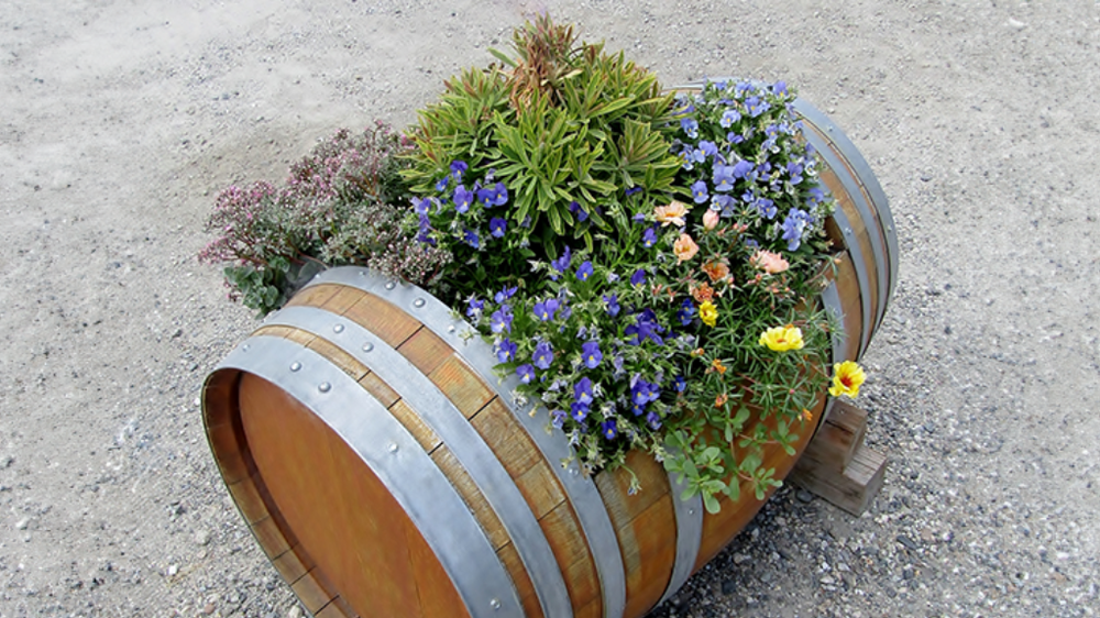 Beer barrel planter