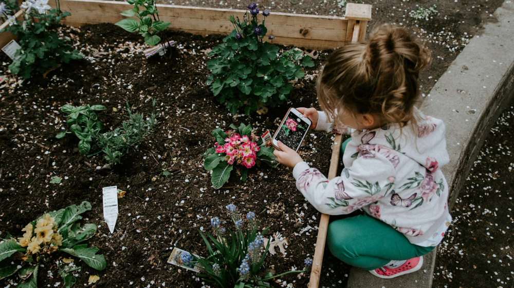 a child crouches down to take a photo of a plant with a smartphone