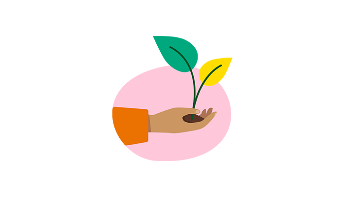 Illustration of a hand holding a seedling