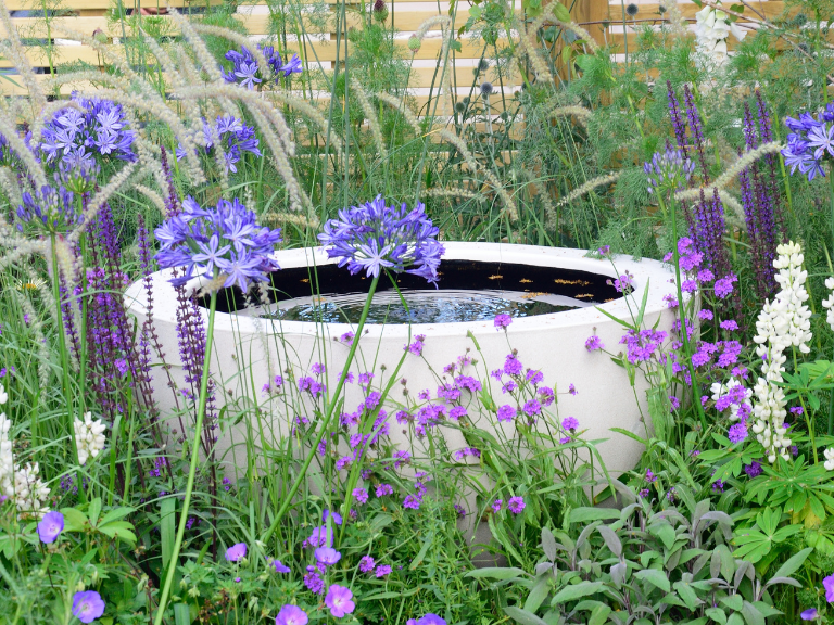 Round bowl full of water surrounded by purple flowers and green foliage