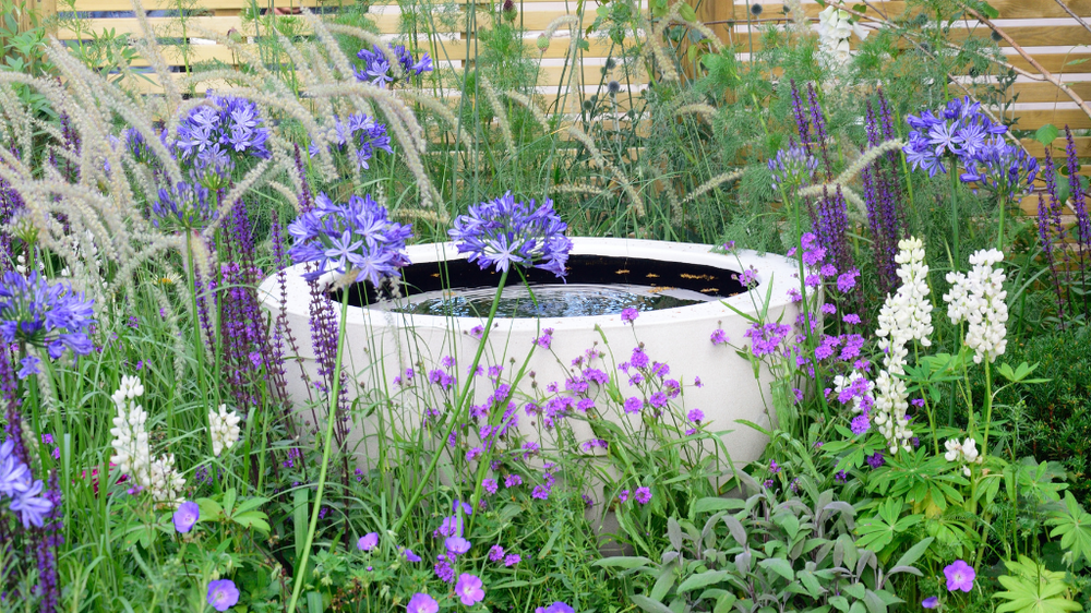 Round bowl full of water surrounded by purple flowers and green foliage